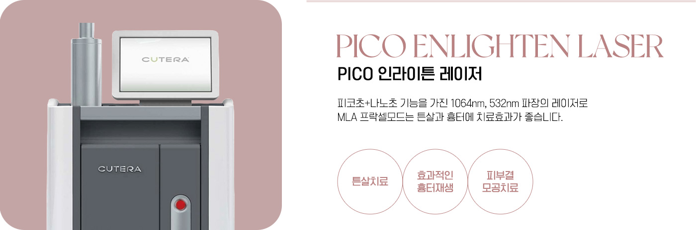 인라이튼
