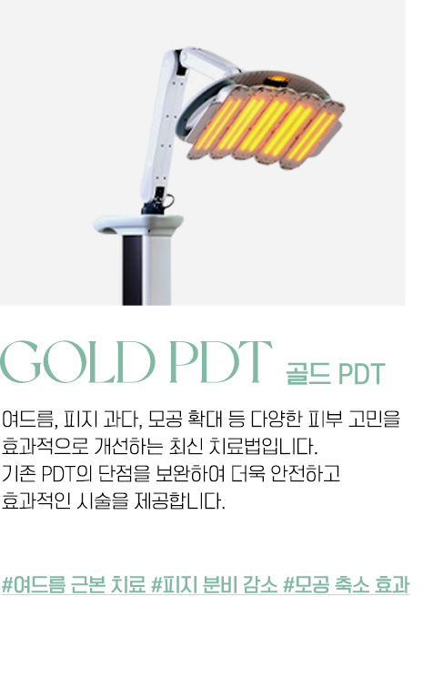 골드 PDT