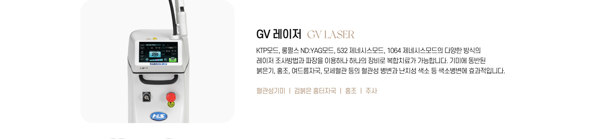 GV 레이저